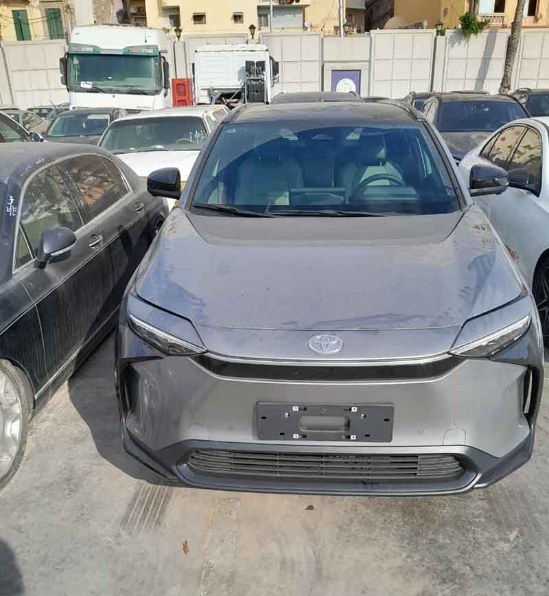 EARTH LINK (Egypt) Successfully Handled Electric Car Imports from China and Korea